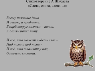 Стихотворение А.Шибаева Слова, слова, слова…: