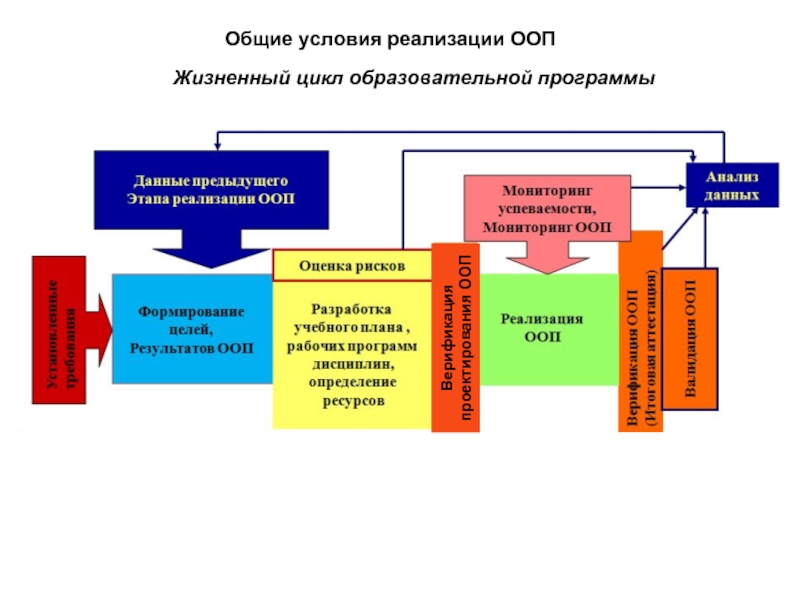 Жизненный цикл образования. Учебные циклы в учебном плане. Циклы реализации воспитательной программы. Проектирование ООП схема. Цикл реализации плана.