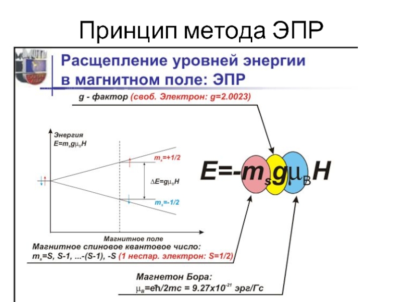 Принцип метода. Методы ЭПР. Принципы спектроскопии электронного парамагнитного резонанса. Суть метода ЭПР. Недостатки метода ЭПР.