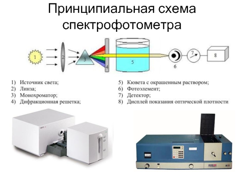 Спектрофотометр определяет