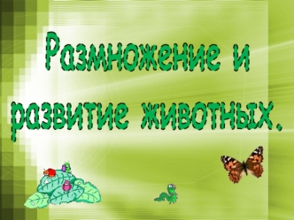 Размножение и
развитие животных.