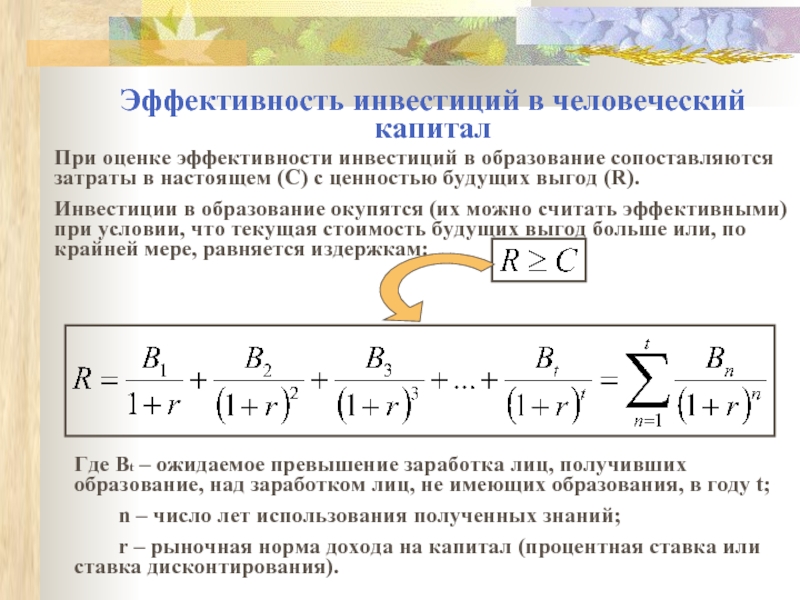 Проект инвестиции в человеческий капитал