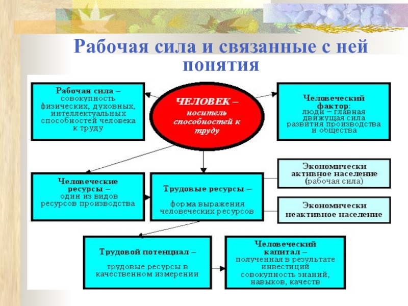 Цель рабочей силы это. Виды рабочей силы.