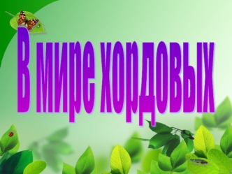 В мире хордовых