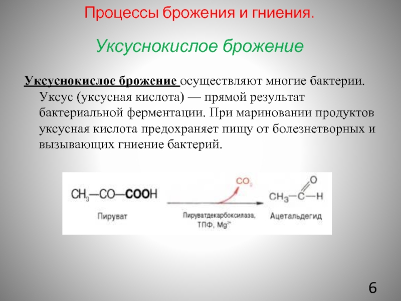 Уксуснокислое брожение презентация