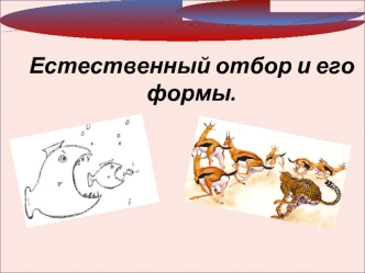 Естественный отбор и его формы