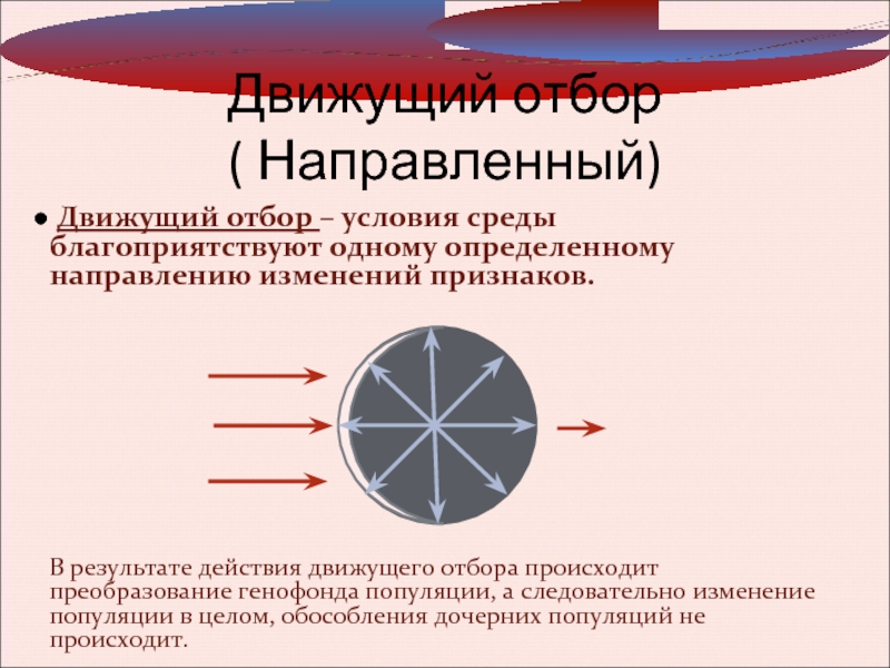 Движущий отбор условие. Условия среды движущего отбора. Движущий отбор направлен на. Направленный отбор. Условия среды при движущем отборе.