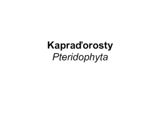 kapradiny_2014