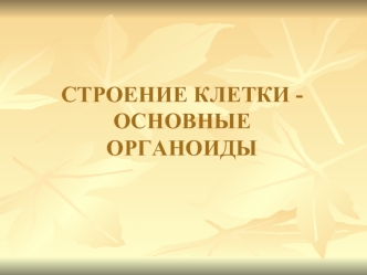 Строение клетки. Основные органоиды