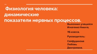 Физиология человека: динамические показатели нервных процессов