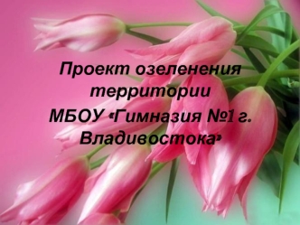 Проект озеленения территории МБОУ  Гимназия 1 г. Владивостока