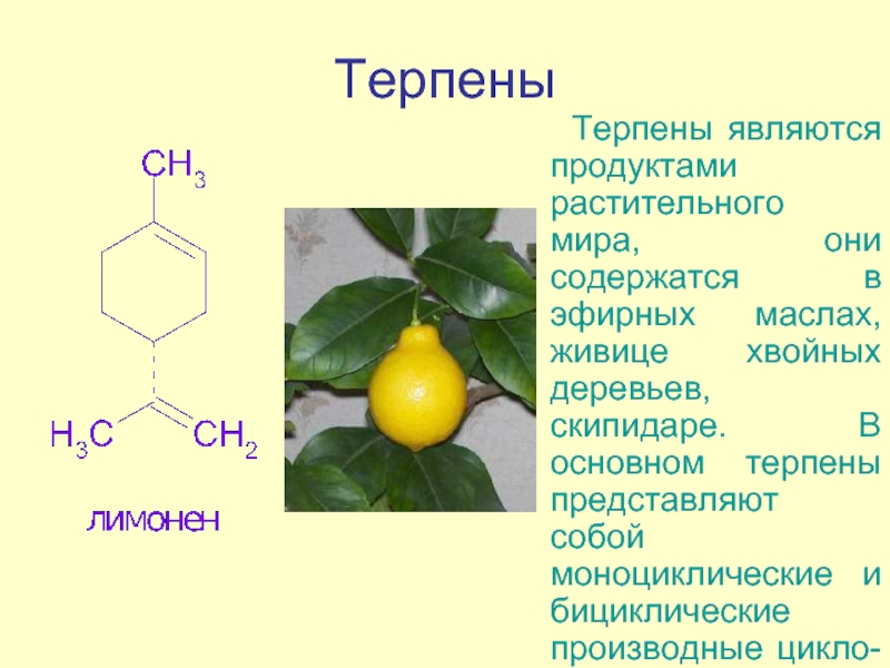 Являться содержаться. Терпены структурная формула. Терпен лимонен формула. Общая формула терпенов. Моноциклические терпены.