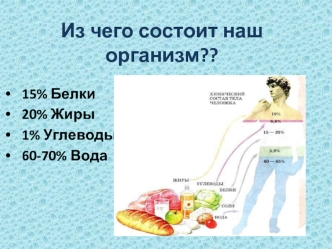 Из чего состоит наш организм?