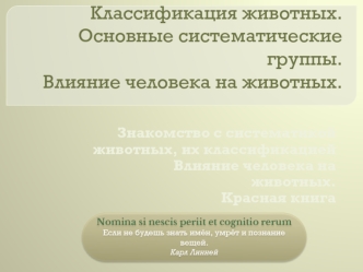 Классификация животных.Основные систематические группы.Влияние человека на животных.