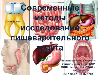 Современные методы исследования пищеварительного тракта