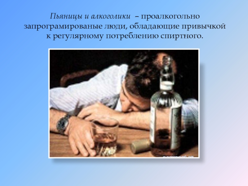 Терещенко пьяница. Разница между алкоголиком и пьяницей. Кто такие алкаши определение. Пьяница и алкоголик в чем разница.