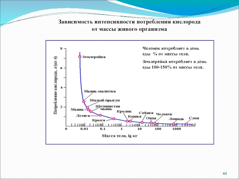 Зависимость потребностей. Потребление кислорода организмом. Интенсивность потребления. График зависимости потребления кислорода в зависимости от. Зависимость от кислорода.