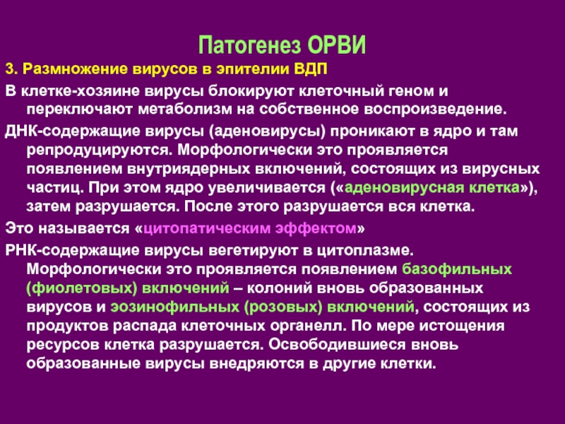 Патогенез ОРВИ. Размножение вирусов. ОРВИ этиология. Патогенез аденовируса микробиология.