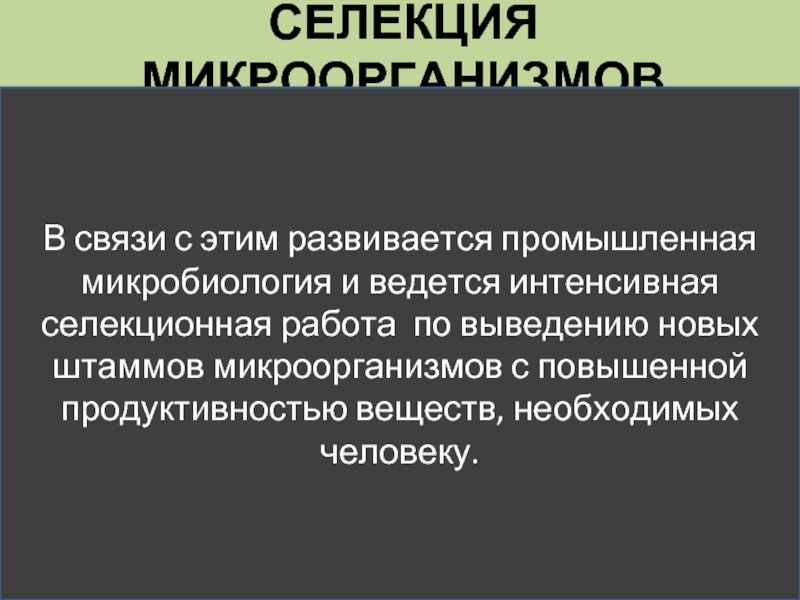 Промышленная микробиология презентация