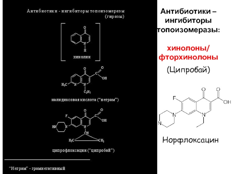 Фторхинолоны антибиотики. Ингибиторы топоизомеразы. Хинолы. Ципробай хинолоны. Антибиотики ингибиторы.