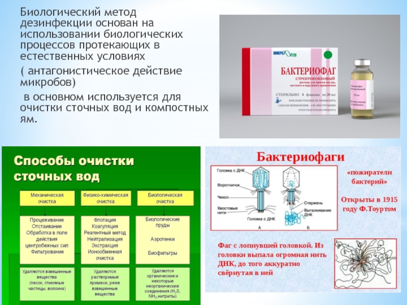 Алгоритм дезинфекции. Бактериофаги для биологической дезинфекции. Методы дезинфекции биологический метод. Биологический способ дезинфекции в медицине. Биологический метод обеззараживания.