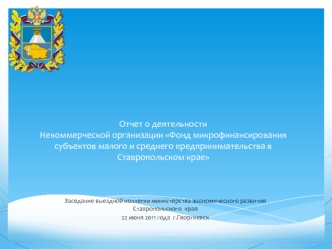 Отчет о деятельностиНекоммерческой организации Фонд микрофинансирования субъектов малого и среднего предпринимательства в                    Ставропольском крае