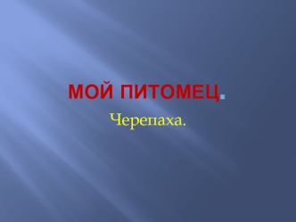 Мой питомец черепаха