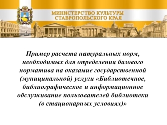 Пример расчета натуральных норм, необходимых для определения базового норматива на оказание государственной (муниципальной) услуги Библиотечное, библиографическое и информационное обслуживание пользователей библиотеки 
(в стационарных условиях)