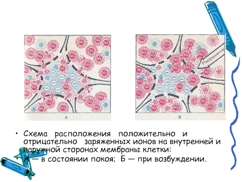 Выберите схемы отражающие образование положительно заряженных ионов al 0 3e