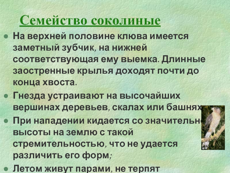 Нижний соответствовать