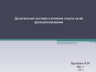 Дыхательная система и влияние спорта на её функционирование