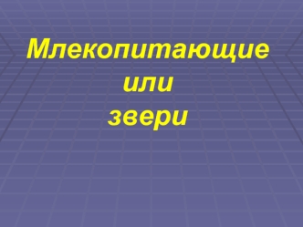 Млекопитающие или  звери