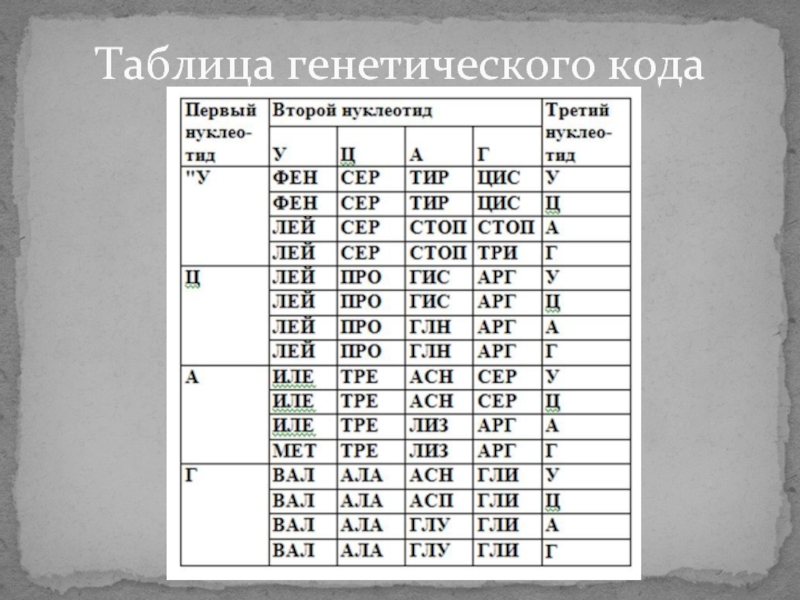 Таблица генетического кода. Таблица ДНК. Генетика таблица. Таблица аминокислот по ИРНК. Таблица расшифровки ДНК.