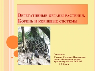 Вегетативные органы растения.Корень и корневые системы