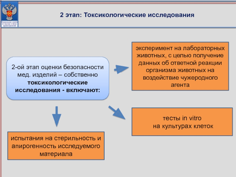 Токсикологические исследования. Токсикологические исследования медицинских изделий. Этапы токсикологических исследований. Стадии токсикологической оценки.