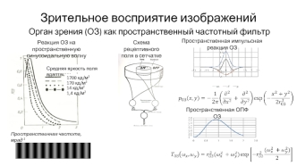 Зрительное восприятие изображений