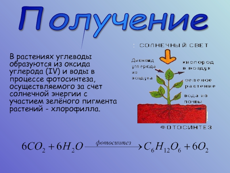 Источник углерода для растений образуется