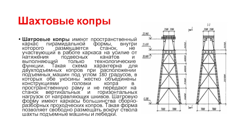 Копра что это такое