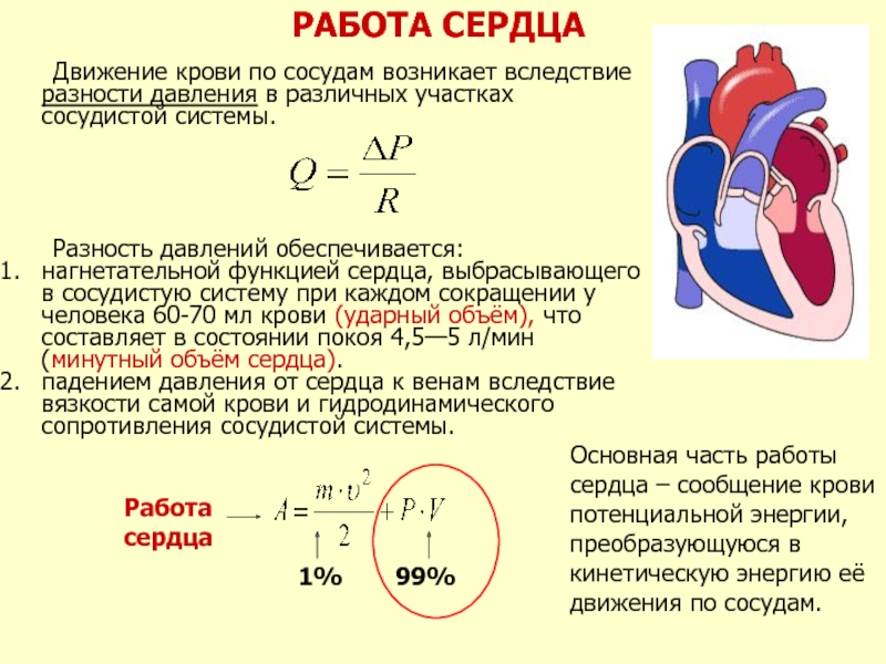 Изменения массы крови. Движение крови по кровеносным сосудам формула. Скорость движения и давление крови в сосудах. Расчет работы сердца. Работа сердца формула.