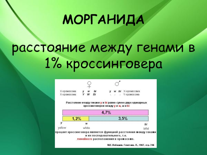 Расстояние между генами