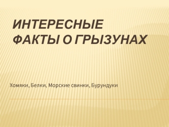 Интересные факты о грызунах. Хомяки, белки, морские свинки, бурундуки