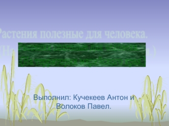 Выполнил: Кучекеев Антон и Волоков Павел.. С давних времен народами использовалось множество видов лекарственных растений, цветов и трав. Уже на самых.