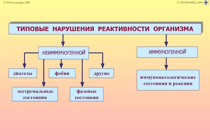 Состояние реактивности. Реактивность организма классификация. Типы реактивности организма. Виды иммунологической реактивности. Виды иммунопатологических процессов.