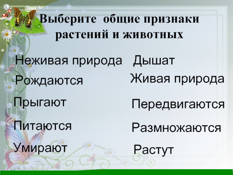 Общие признаки животных. Основные признаки животных 2 класс. Общие признаки животных 2 класс. Признаки животных рождается дышит. Признаки животных 2 класс передвигается размножается.