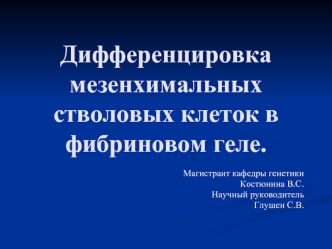 Дифференцировка мезенхимальных стволовых клеток в фибриновом геле.