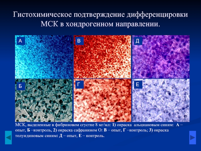 Гистохимические методы исследования презентация