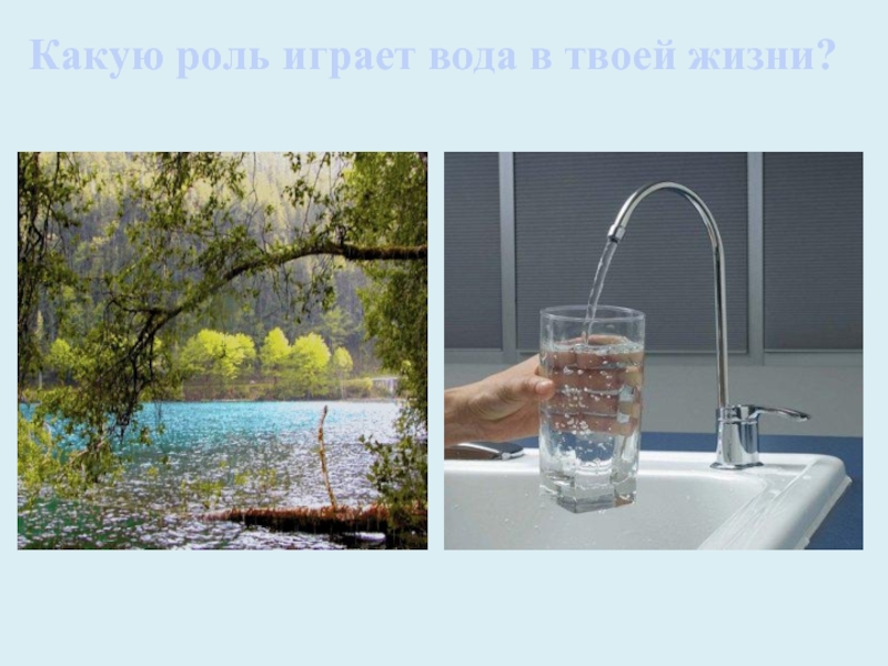 Какую роль играет вода в твоей жизни. Фото «какую роль играет вода в жизни человека и природы?». Твоя вода. Какую роль вода играет в науке и технике.