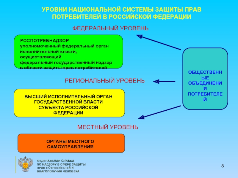 Национальный уровень защиты. Органы РФ, осуществляют защиту прав потребителей..