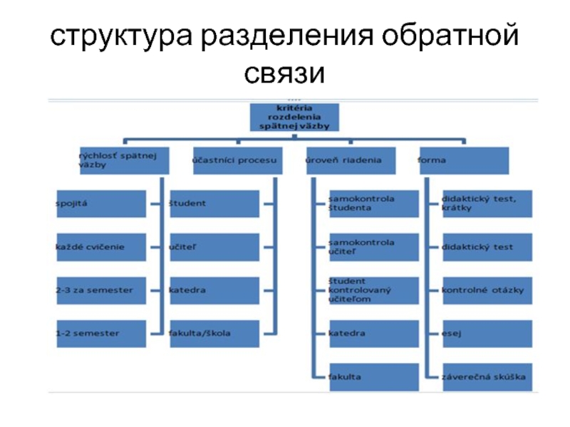 Структура деления. Структурное деление предприятия. Организационная структура разбивки. Примеры структурного разделения.