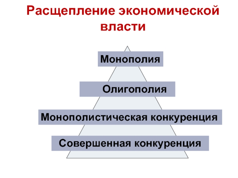 Экономическая власть сообщение